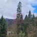 Vila de vanzare in Sinaia - Zona Cumpatu